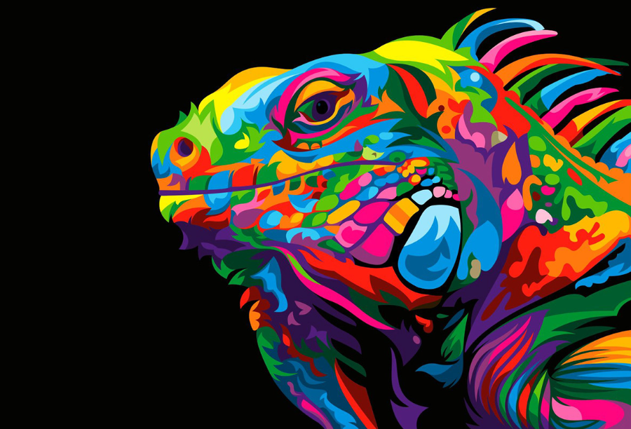 Graphic Design Diploma