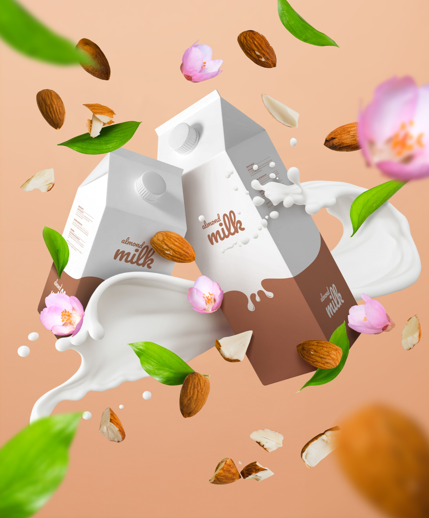 Graphic Design Diploma