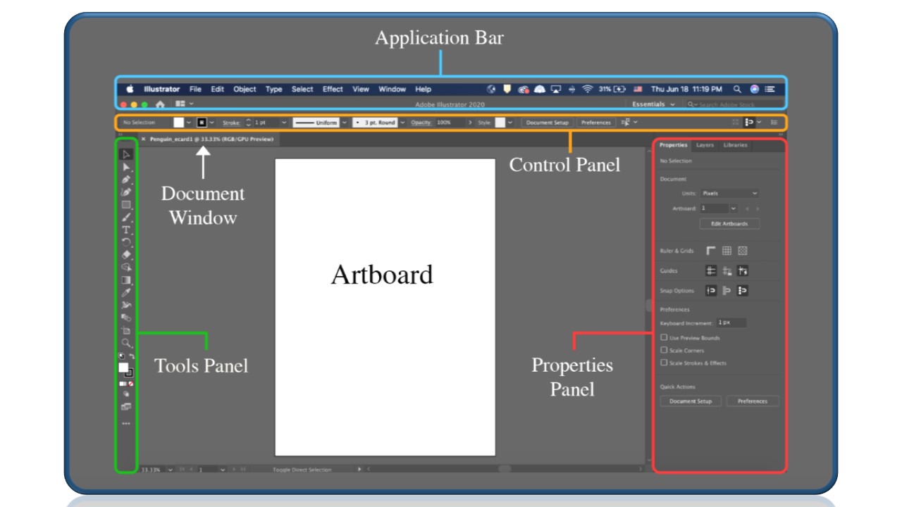 Adobe Illustrator workspace and tools